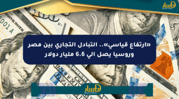 «ارتفاع قياسي».. التبادل التجاري بين مصر وروسيا يصل إلى 6.6 مليار دولار